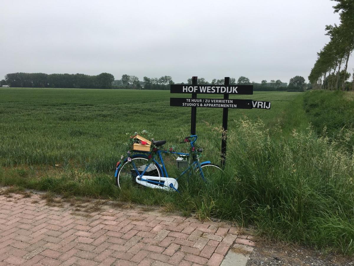 Apartmán Hofwestdijk Vrouwenpolder Exteriér fotografie