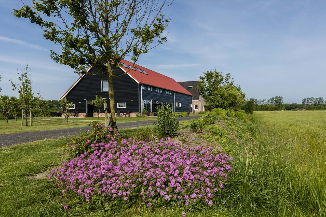 Apartmán Hofwestdijk Vrouwenpolder Exteriér fotografie